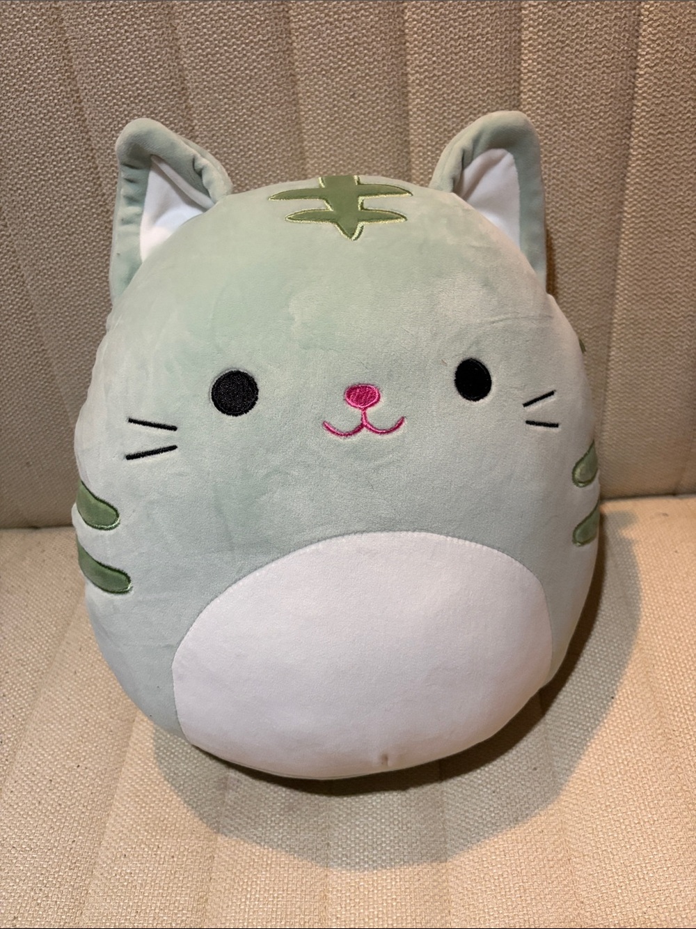 Squishmallow Chase